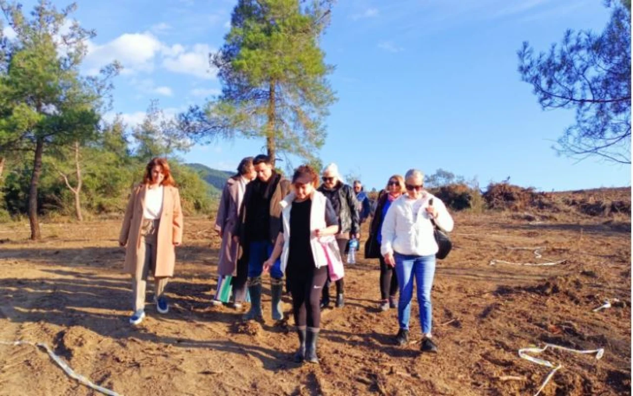 Mudanya Kent Konseyi'nden  doğal yaşam alanına inceleme