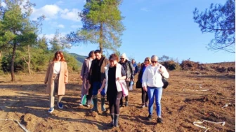 Mudanya Kent Konseyi'nden  doğal yaşam alanına inceleme