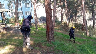 Gemlik'te 'yeşil' seferberlik