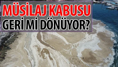 Belediyelere müsilaj uyarısı! Nedeni azot ve fosfor kirliliği