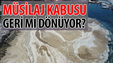 Belediyelere müsilaj uyarısı! Nedeni azot ve fosfor kirliliği