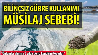 Bilinçsiz gübre kullanımı müsilajı tetikliyor!