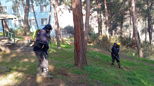 Gemlik'te 'yeşil' seferberlik