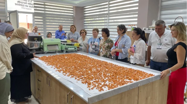 Gürsu'nun tarım ürünleri dünyaya tanıtılıyor